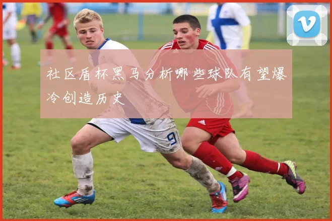 社区盾杯黑马分析哪些球队有望爆冷创造历史