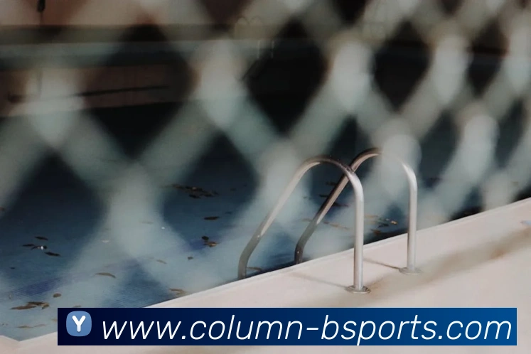 App Interface Preview